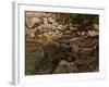 Mountain Stream with Boulders, 1888-1889-Carl Schuch-Framed Giclee Print