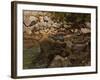 Mountain Stream with Boulders, 1888-1889-Carl Schuch-Framed Giclee Print