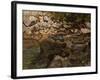 Mountain Stream with Boulders, 1888-1889-Carl Schuch-Framed Giclee Print