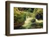 Mountain Stream-Roxana_ro-Framed Photographic Print