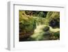 Mountain Stream-Roxana_ro-Framed Photographic Print