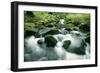 Mountain Stream-null-Framed Photographic Print