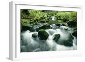 Mountain Stream-null-Framed Photographic Print