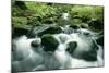 Mountain Stream-null-Mounted Photographic Print