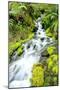 Mountain Stream-Douglas Taylor-Mounted Photographic Print