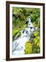 Mountain Stream-Douglas Taylor-Framed Photographic Print