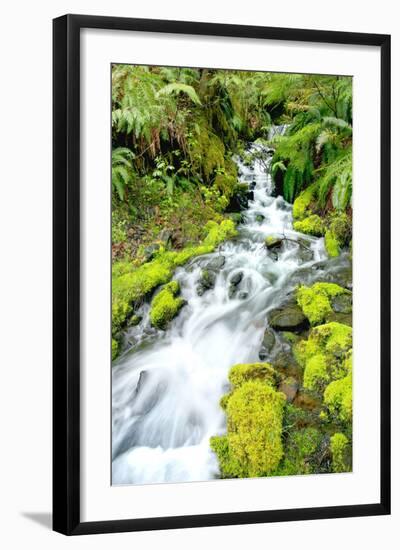 Mountain Stream-Douglas Taylor-Framed Photographic Print