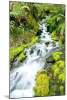 Mountain Stream-Douglas Taylor-Mounted Photographic Print