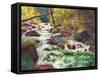 Mountain Stream-Carol Bailey-Framed Stretched Canvas