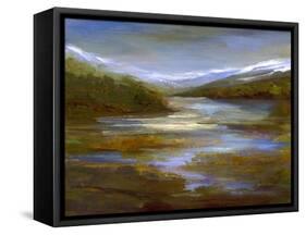 Mountain Stream-Sheila Finch-Framed Stretched Canvas
