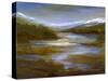 Mountain Stream-Sheila Finch-Stretched Canvas