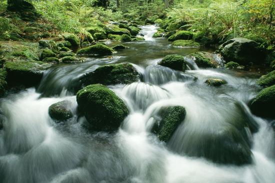 Premium Photographic Print, , large