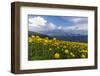 Mountain Summer in the Schanfigg, Canton of Grisons-Armin Mathis-Framed Photographic Print