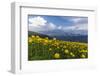 Mountain Summer in the Schanfigg, Canton of Grisons-Armin Mathis-Framed Photographic Print