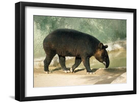 Photographic Print, , large