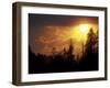 Mountain-top Trees Silhouetted at Sunset, Great Smoky Mountains National Park, Tennessee, USA-Adam Jones-Framed Premium Photographic Print