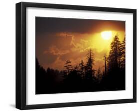 Mountain-top Trees Silhouetted at Sunset, Great Smoky Mountains National Park, Tennessee, USA-Adam Jones-Framed Premium Photographic Print