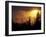 Mountain-top Trees Silhouetted at Sunset, Great Smoky Mountains National Park, Tennessee, USA-Adam Jones-Framed Premium Photographic Print