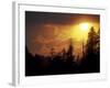 Mountain-top Trees Silhouetted at Sunset, Great Smoky Mountains National Park, Tennessee, USA-Adam Jones-Framed Photographic Print