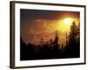 Mountain-top Trees Silhouetted at Sunset, Great Smoky Mountains National Park, Tennessee, USA-Adam Jones-Framed Photographic Print