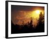 Mountain-top Trees Silhouetted at Sunset, Great Smoky Mountains National Park, Tennessee, USA-Adam Jones-Framed Photographic Print