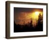 Mountain-top Trees Silhouetted at Sunset, Great Smoky Mountains National Park, Tennessee, USA-Adam Jones-Framed Photographic Print