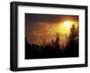 Mountain-top Trees Silhouetted at Sunset, Great Smoky Mountains National Park, Tennessee, USA-Adam Jones-Framed Photographic Print