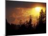Mountain-top Trees Silhouetted at Sunset, Great Smoky Mountains National Park, Tennessee, USA-Adam Jones-Mounted Photographic Print