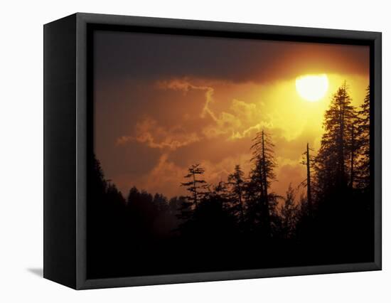 Mountain-top Trees Silhouetted at Sunset, Great Smoky Mountains National Park, Tennessee, USA-Adam Jones-Framed Stretched Canvas