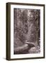 Mountain Trail Yellowstone BW-Steve Gadomski-Framed Photographic Print