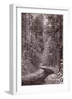 Mountain Trail Yellowstone BW-Steve Gadomski-Framed Photographic Print