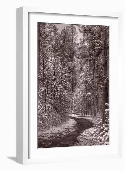 Mountain Trail Yellowstone BW-Steve Gadomski-Framed Photographic Print