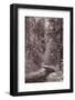 Mountain Trail Yellowstone BW-Steve Gadomski-Framed Photographic Print