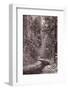 Mountain Trail Yellowstone BW-Steve Gadomski-Framed Photographic Print