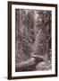 Mountain Trail Yellowstone BW-Steve Gadomski-Framed Photographic Print