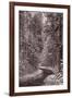 Mountain Trail Yellowstone BW-Steve Gadomski-Framed Photographic Print