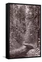 Mountain Trail Yellowstone BW-Steve Gadomski-Framed Stretched Canvas