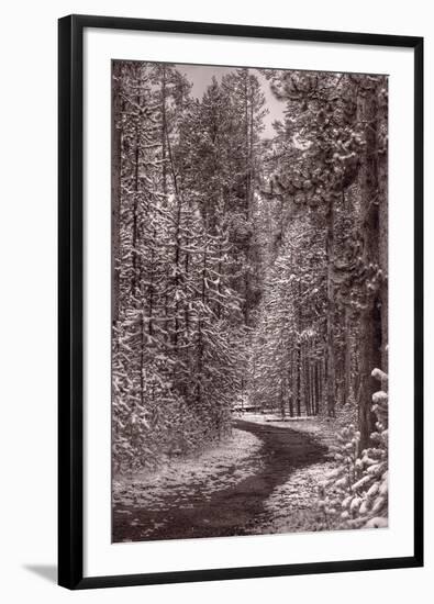 Mountain Trail Yellowstone BW-Steve Gadomski-Framed Photographic Print