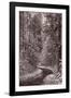 Mountain Trail Yellowstone BW-Steve Gadomski-Framed Photographic Print