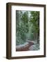 Mountain Trail Yellowstone-Steve Gadomski-Framed Photographic Print