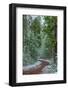 Mountain Trail Yellowstone-Steve Gadomski-Framed Photographic Print