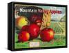 Mountain Valley Apple Label - Hamilton, MT-Lantern Press-Framed Stretched Canvas