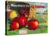 Mountain Valley Apple Label - Hamilton, MT-Lantern Press-Stretched Canvas