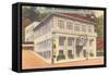 Mountain Valley Spring Company, Hot Springs, Arkansas-null-Framed Stretched Canvas