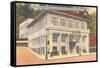 Mountain Valley Spring Company, Hot Springs, Arkansas-null-Framed Stretched Canvas