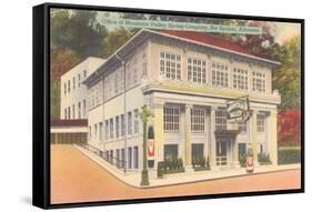 Mountain Valley Spring Company, Hot Springs, Arkansas-null-Framed Stretched Canvas