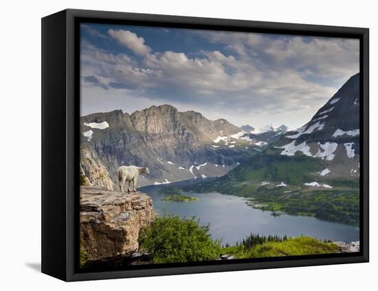 Mountain View and Hidden Lake Along Hidden Lake Trail, Glacier National Park, Montana-Ian Shive-Framed Stretched Canvas