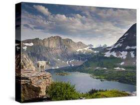 Mountain View and Hidden Lake Along Hidden Lake Trail, Glacier National Park, Montana-Ian Shive-Stretched Canvas