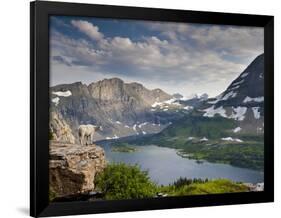 Mountain View and Hidden Lake Along Hidden Lake Trail, Glacier National Park, Montana-Ian Shive-Framed Photographic Print