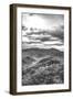 Mountain View-Donnie Quillen-Framed Art Print